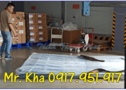 BÀN GIAO CẦU KHO - MINI RAMP TẠI KHU CÔNG NGHIỆP SÓNG THẦN