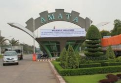KCN AMATA 